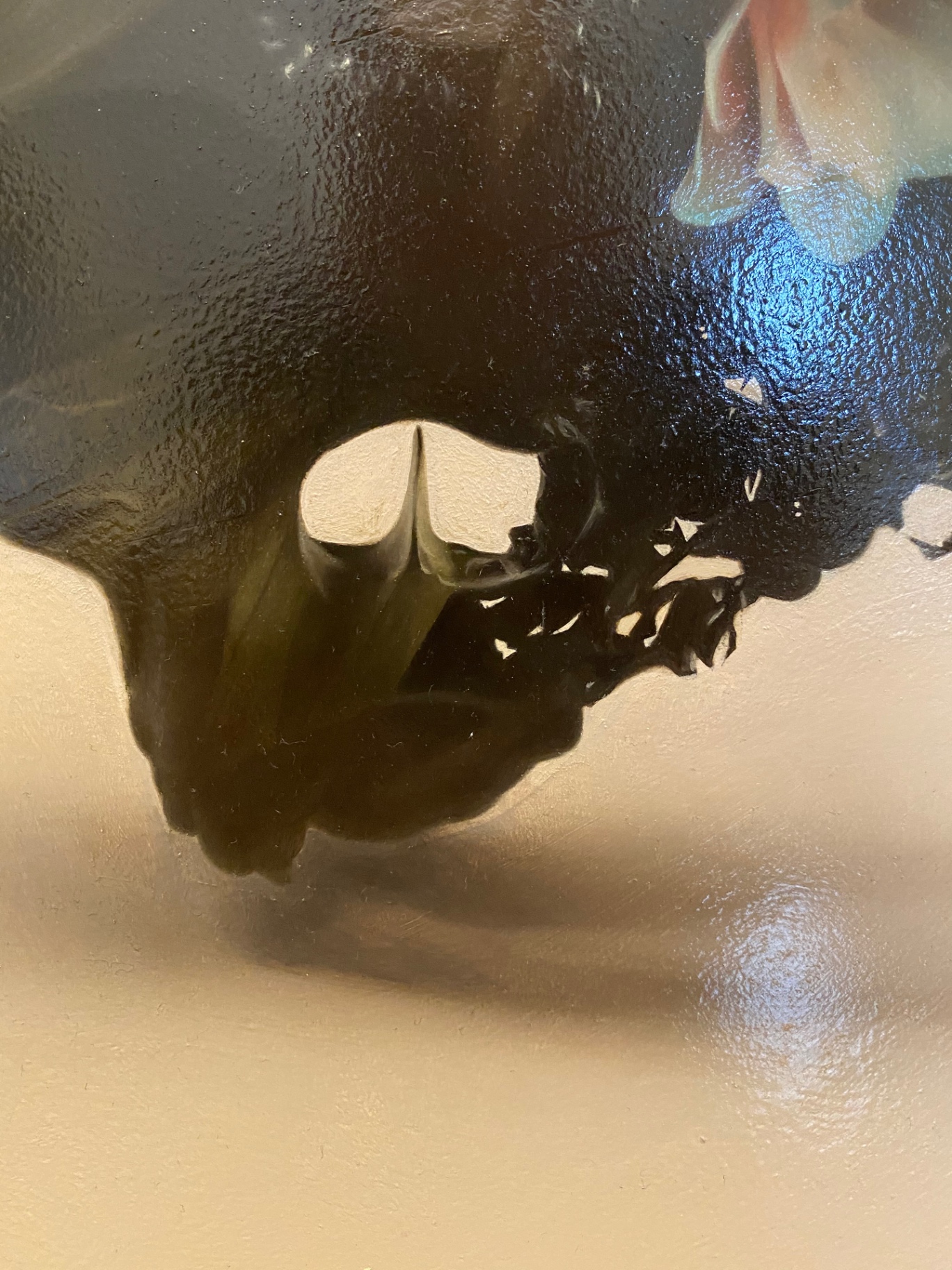 Macro detail of the lower edge and scattered fragments